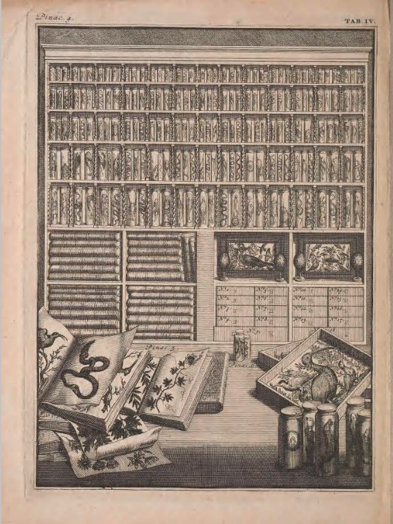 Cabinet 4: Wet specimens elegantly displayed on the shelves beneath which are folio volumes of plates,