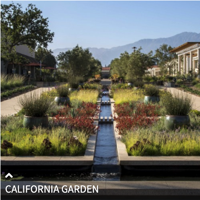 California Garden at The Huntington