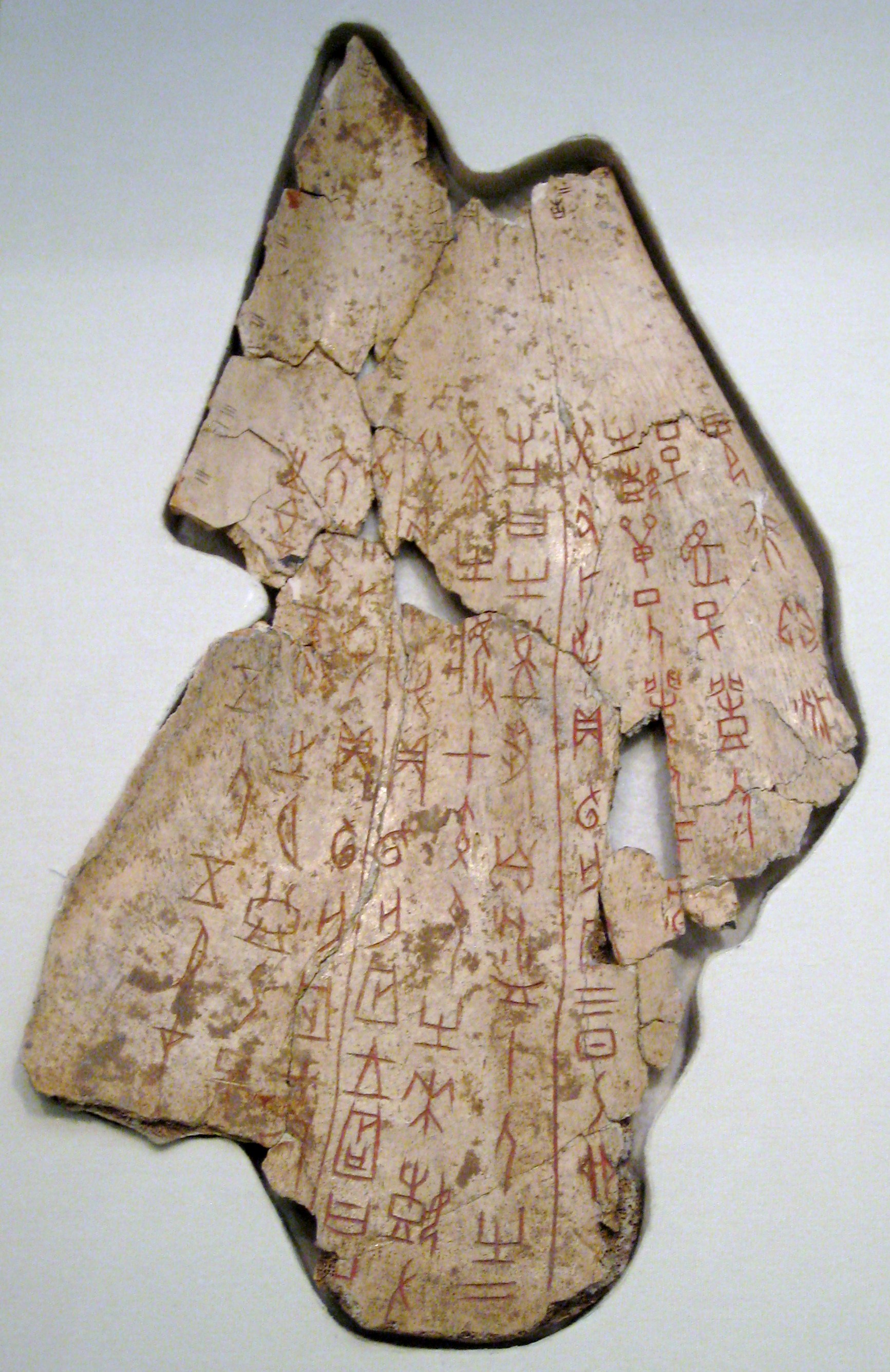 Shang dynasty inscribed scapula