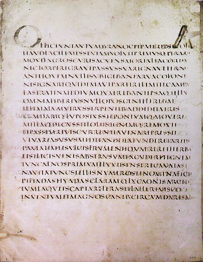 Vergilius Augusteus, Georgica 121