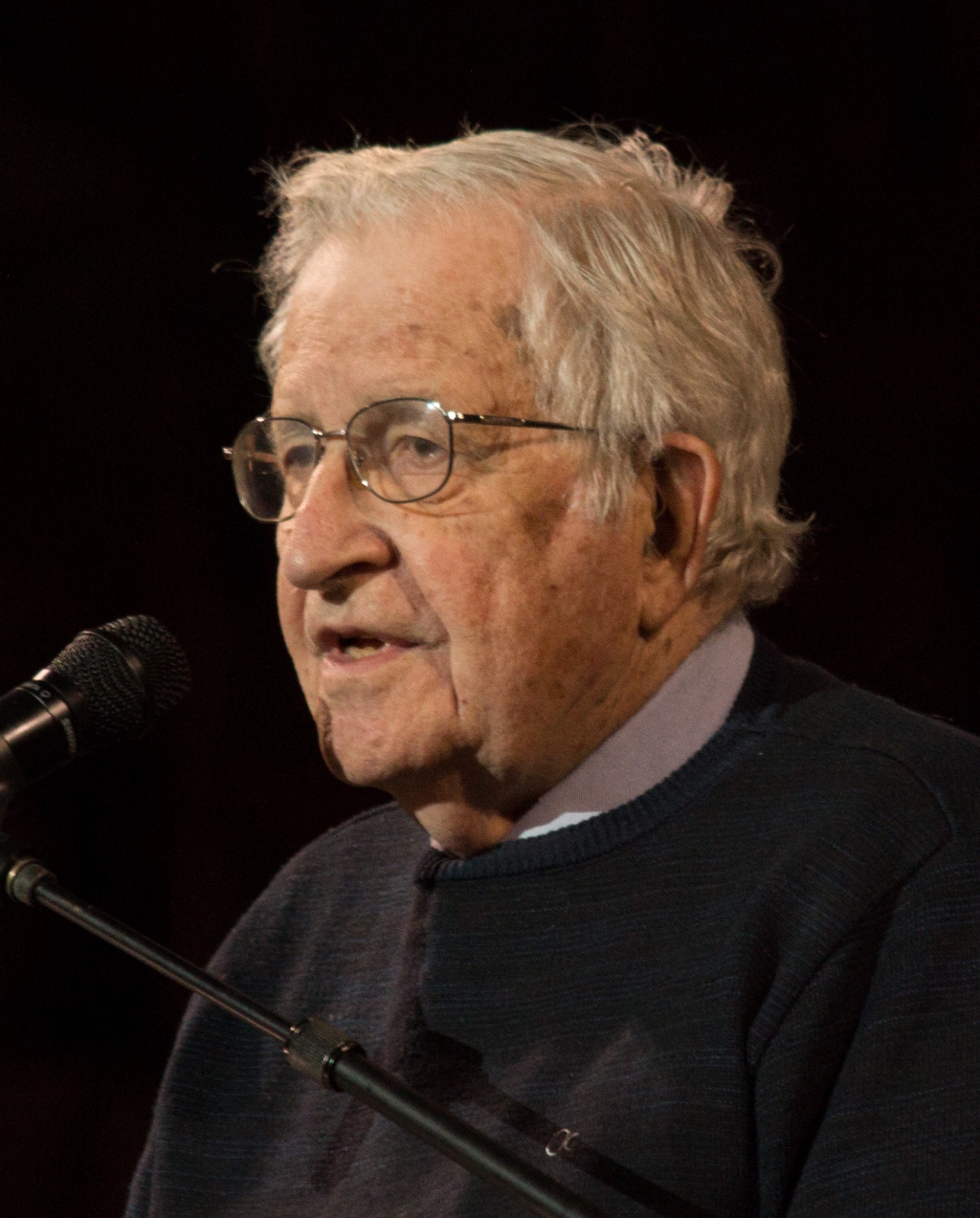 Chomsky in 2017