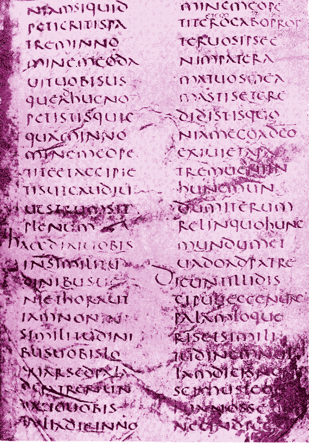 Folio from Codex Vercellensis. (View Larger)